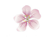Quanzhou City Peach Garden Clothing Products Co., Ltd.